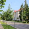 Vranovača - photo 4