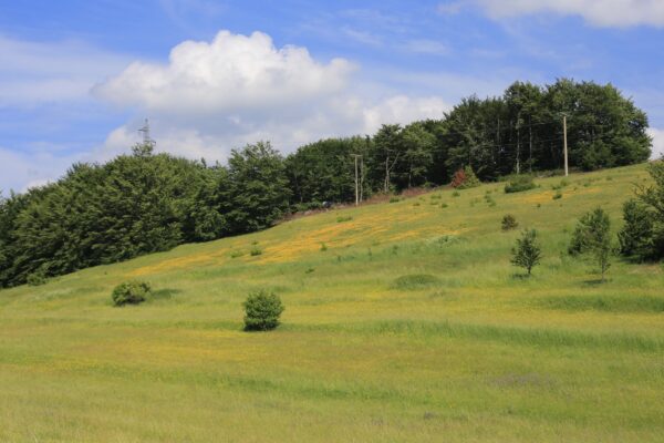 Vrhovine - photo 1