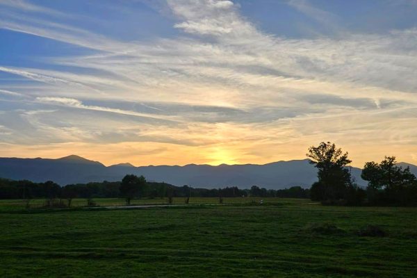 Aleksinica - photo 1