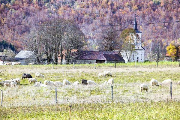 Bužim - photo 2
