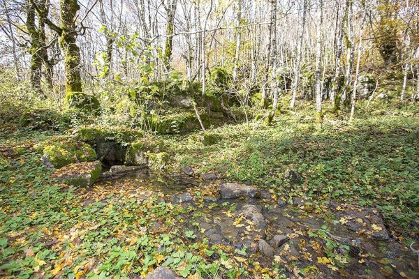Bužim - photo 3