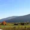 Čovići - photo 1