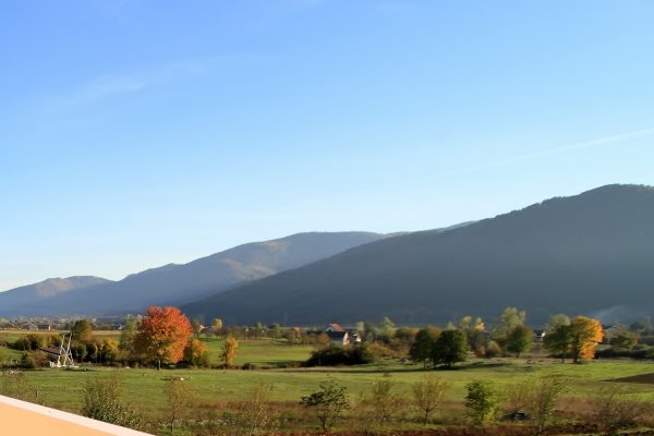Čovići