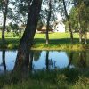 Čovići - photo 2