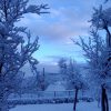 Doljani - photo 9