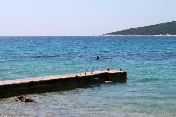 Venerica - photo 7