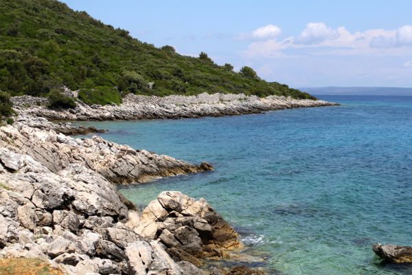 Ćunski - photo 23