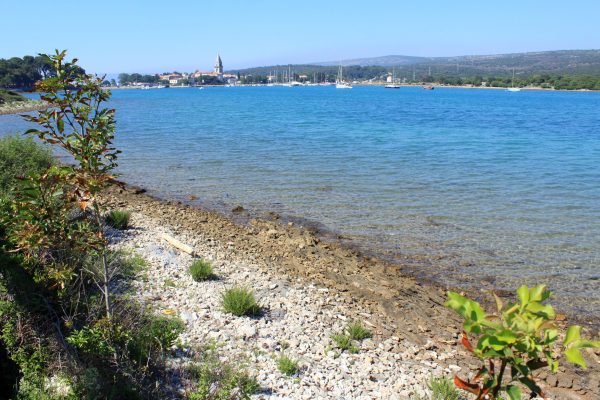 Osor - photo 42