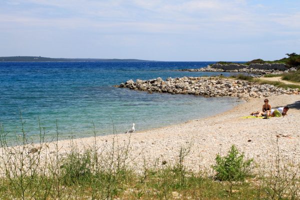 Studenac - photo 5