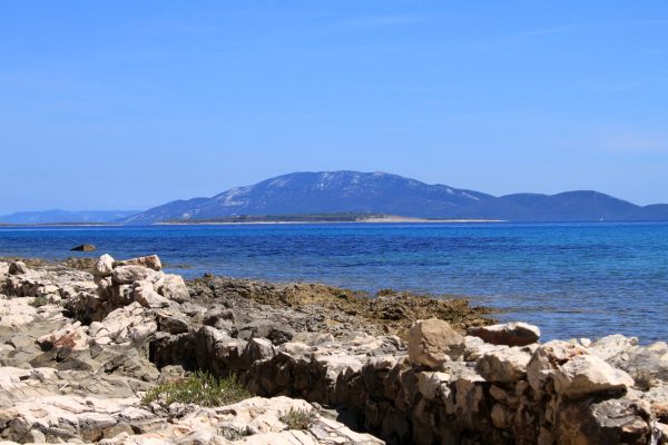 Susak - photo 54