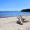 Susak - photo 51
