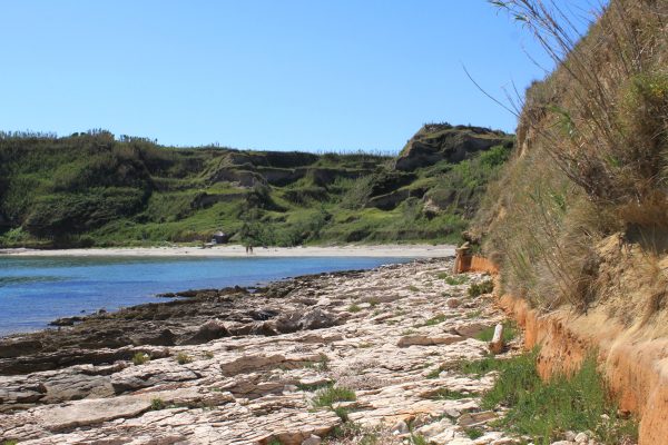 Susak - photo 53