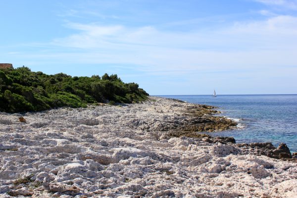 Tizna - photo 10