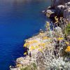 Veli Lošinj - photo 34