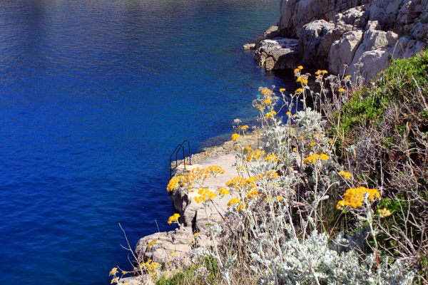Veli Lošinj - photo 34