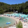 Borik - photo 35