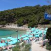 Blatina - photo 44
