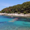 Blatina - photo 45