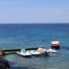 Blatina - photo 46