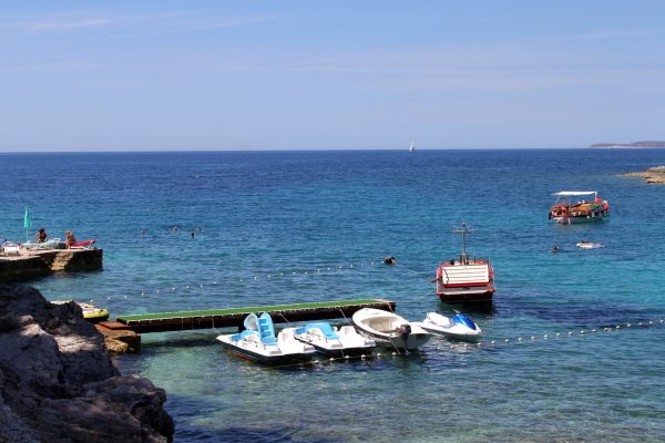Blatina - photo 46