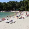 Blatina - photo 51