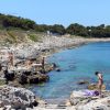 Borik - photo 40