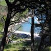 Valdarke - photo 41
