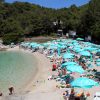 Blatina - photo 43