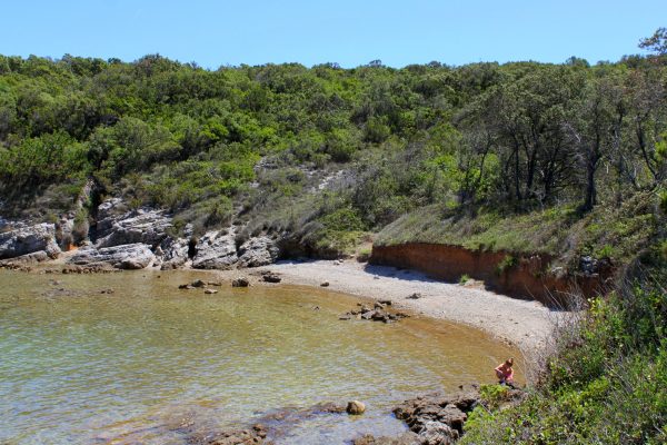 Lanena - photo 8