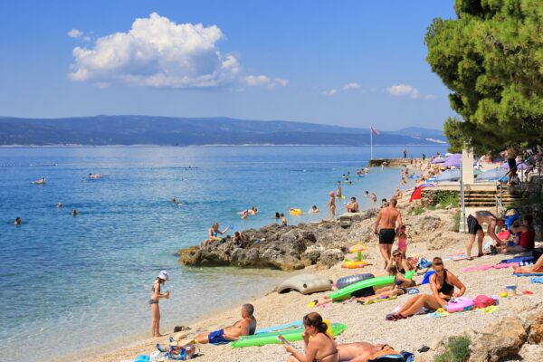 Soline - photo 15