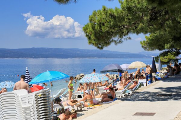Soline - photo 19