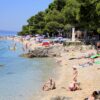 Soline - photo 2