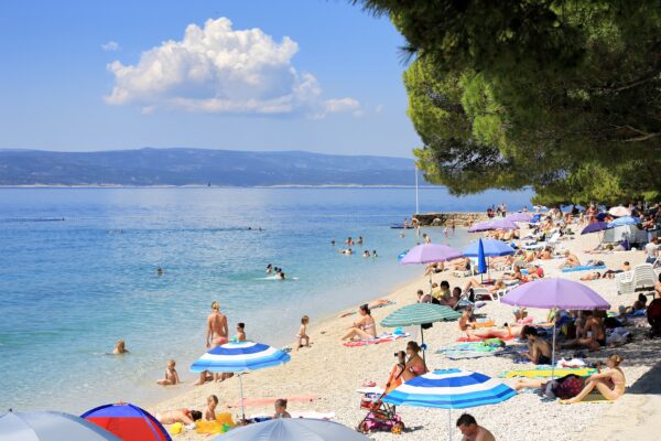Soline - photo 3