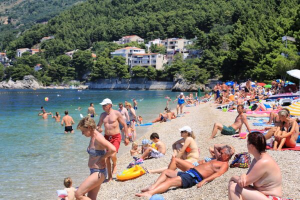 Soline - photo 5
