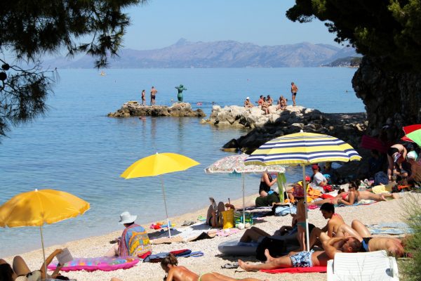 Drašnice - photo 14