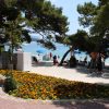 Soline - photo 30