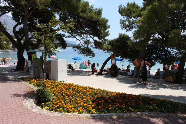 Soline - photo 30