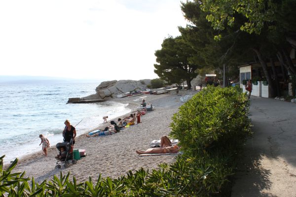 Soline - photo 26