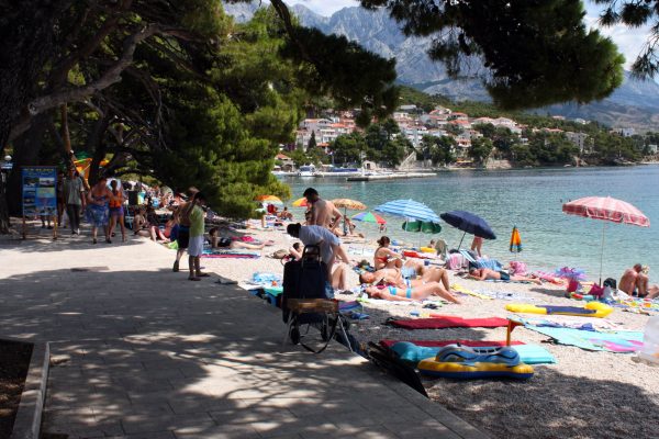 Soline - photo 29