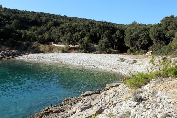 Jalinica - photo 12