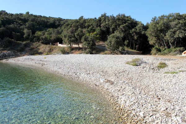 Jalinica - photo 15