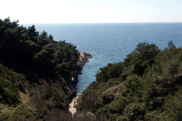 Premantura - photo 28