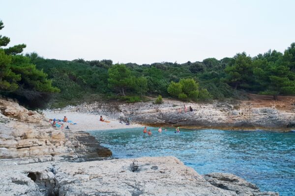 Pinižule - photo 13