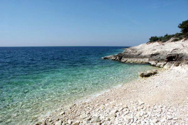 Pinižule - photo 16