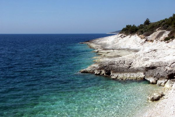Pinižule - photo 18