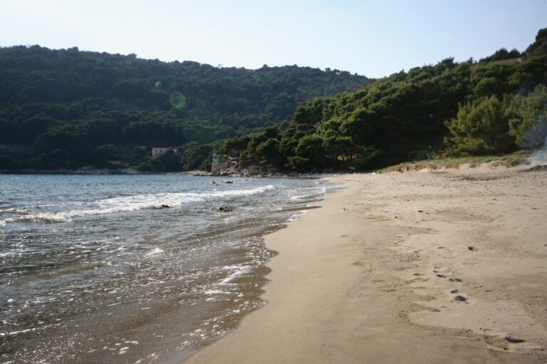 Limuni