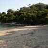 Blaca - photo 23