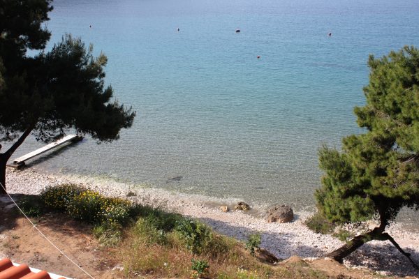 Blaca - photo 14