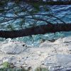 Pomena - photo 27