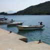Prožurska Luka - photo 22
